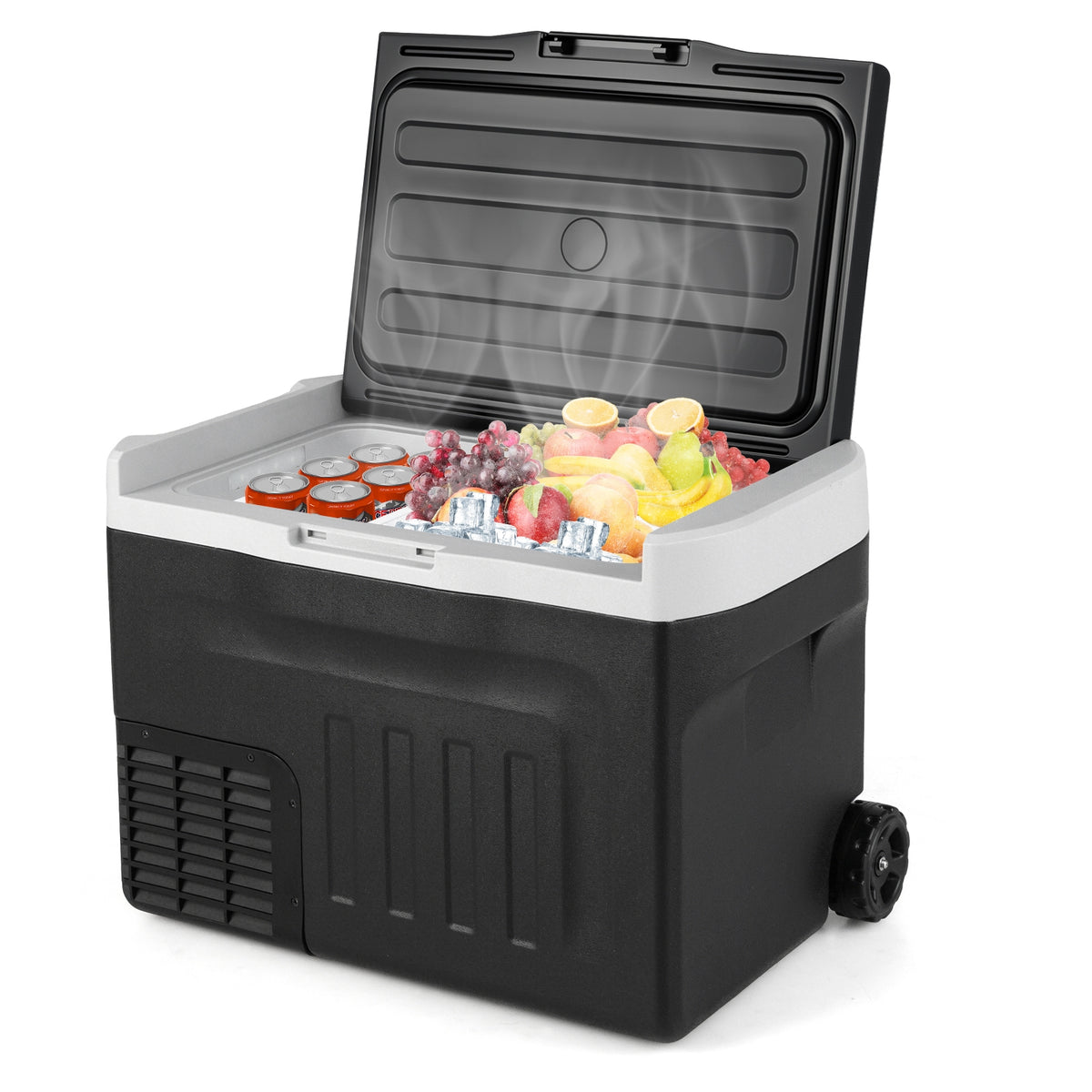 12V Car Refrigerator 32QT with Touch Panel and Removable Divider-M-Coolers-DECOROLALA