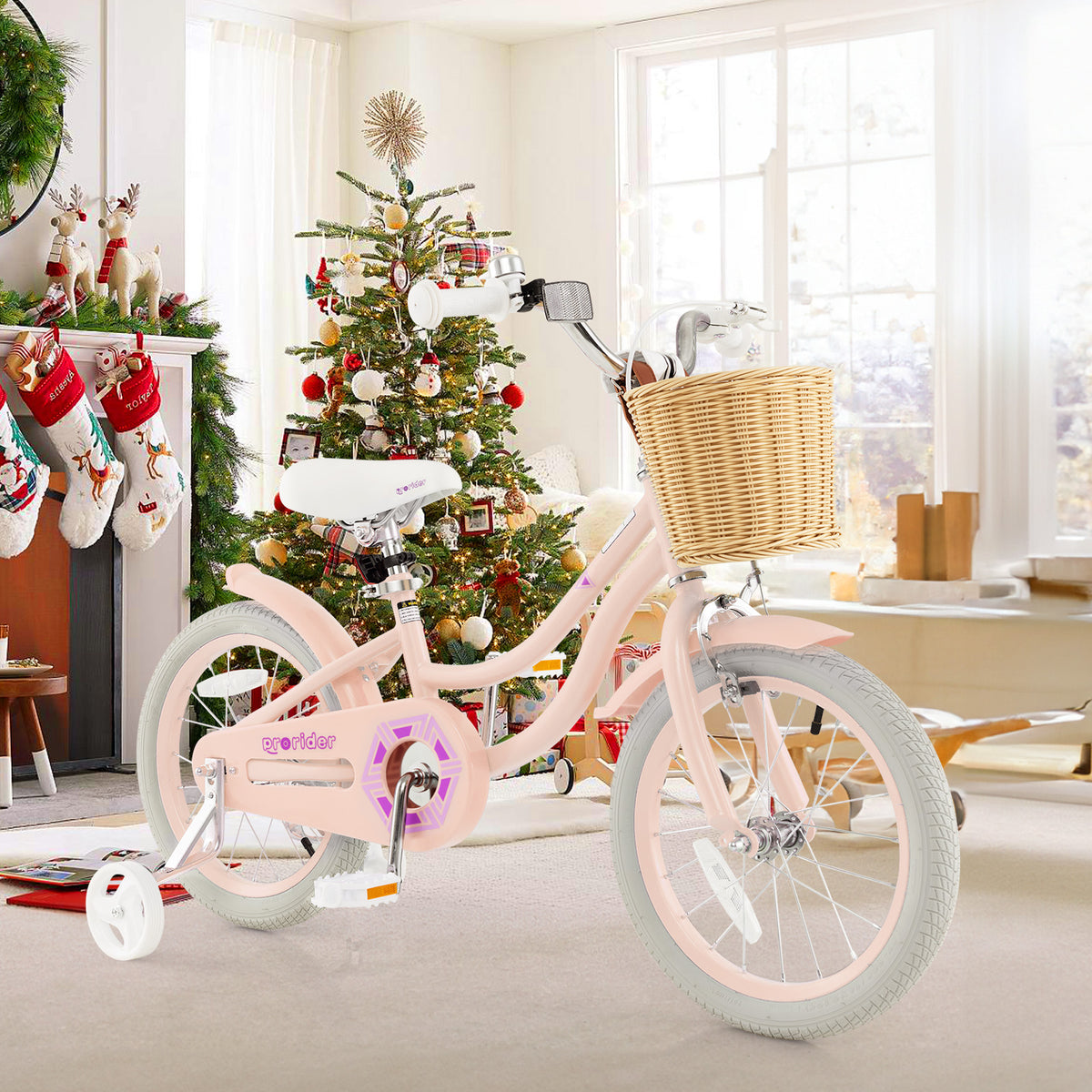 Kids Bike with Training Wheels and Adjustable Handlebar Seat
