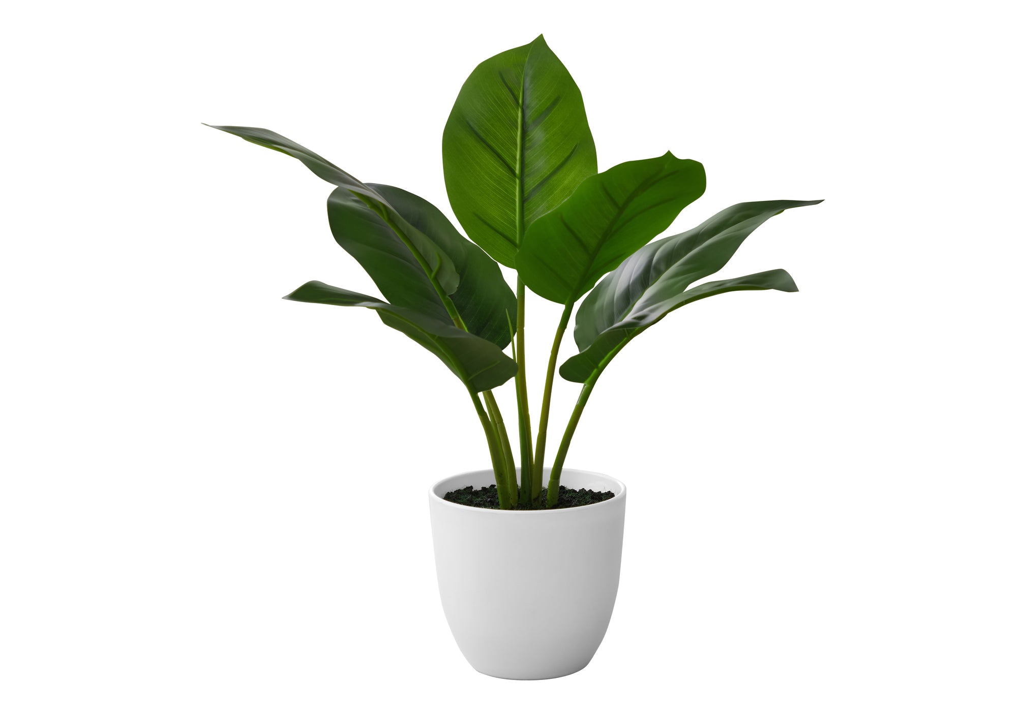 17" Artificial Aureum Plant in 5" White Pot-Artificial Plant-DECOROLALA