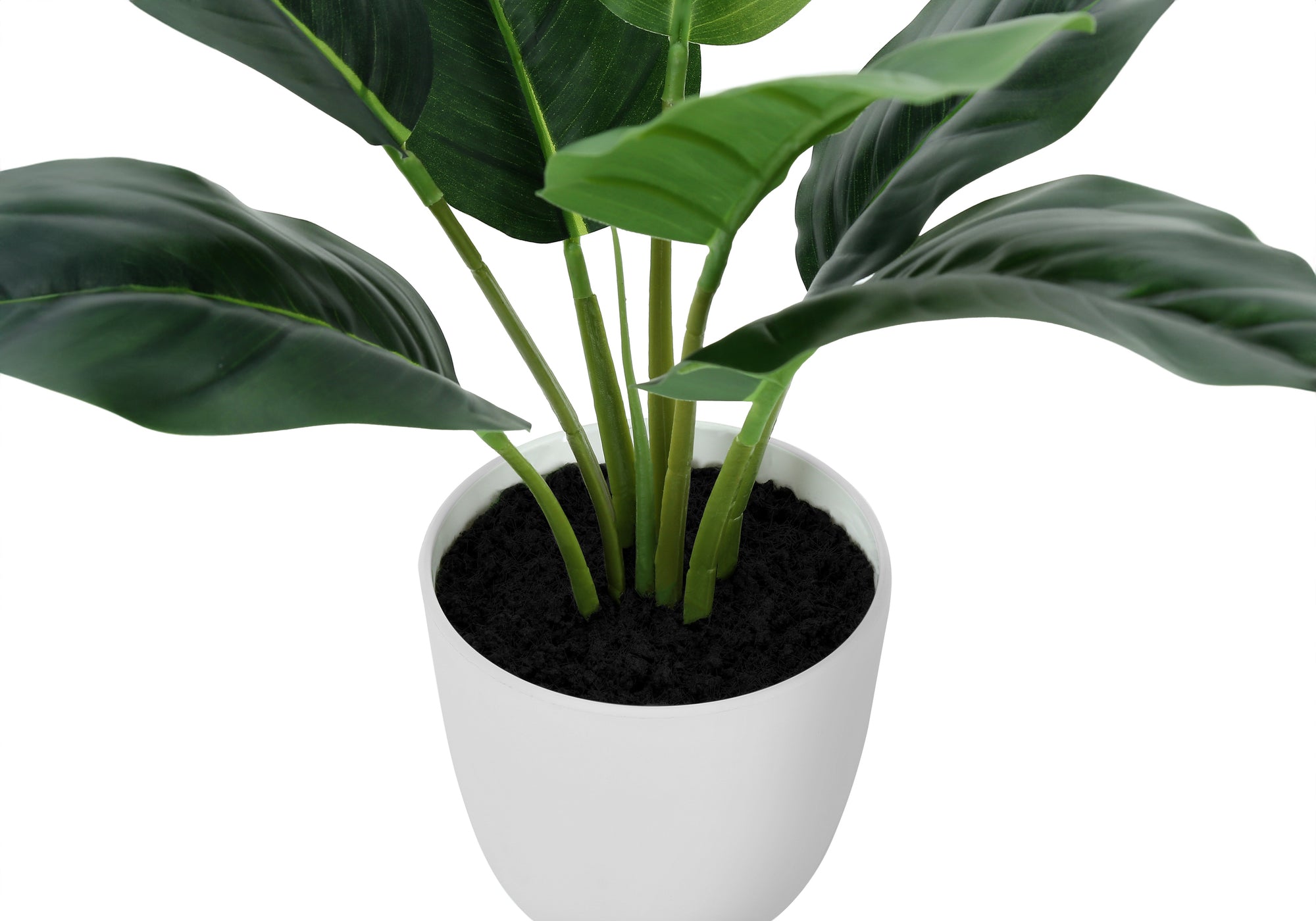 17" Artificial Aureum Plant in 5" White Pot-Artificial Plant-DECOROLALA