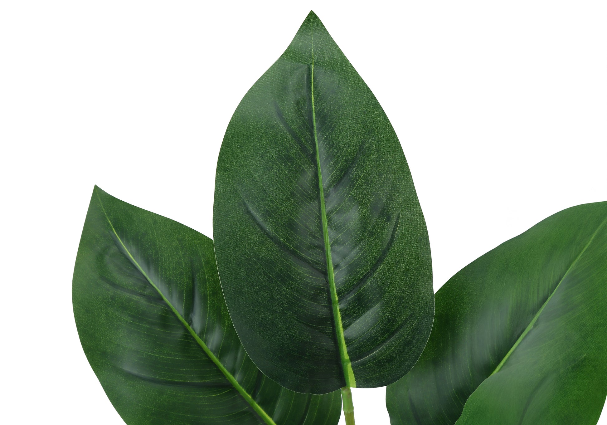 17" Artificial Aureum Plant in 5" White Pot-Artificial Plant-DECOROLALA