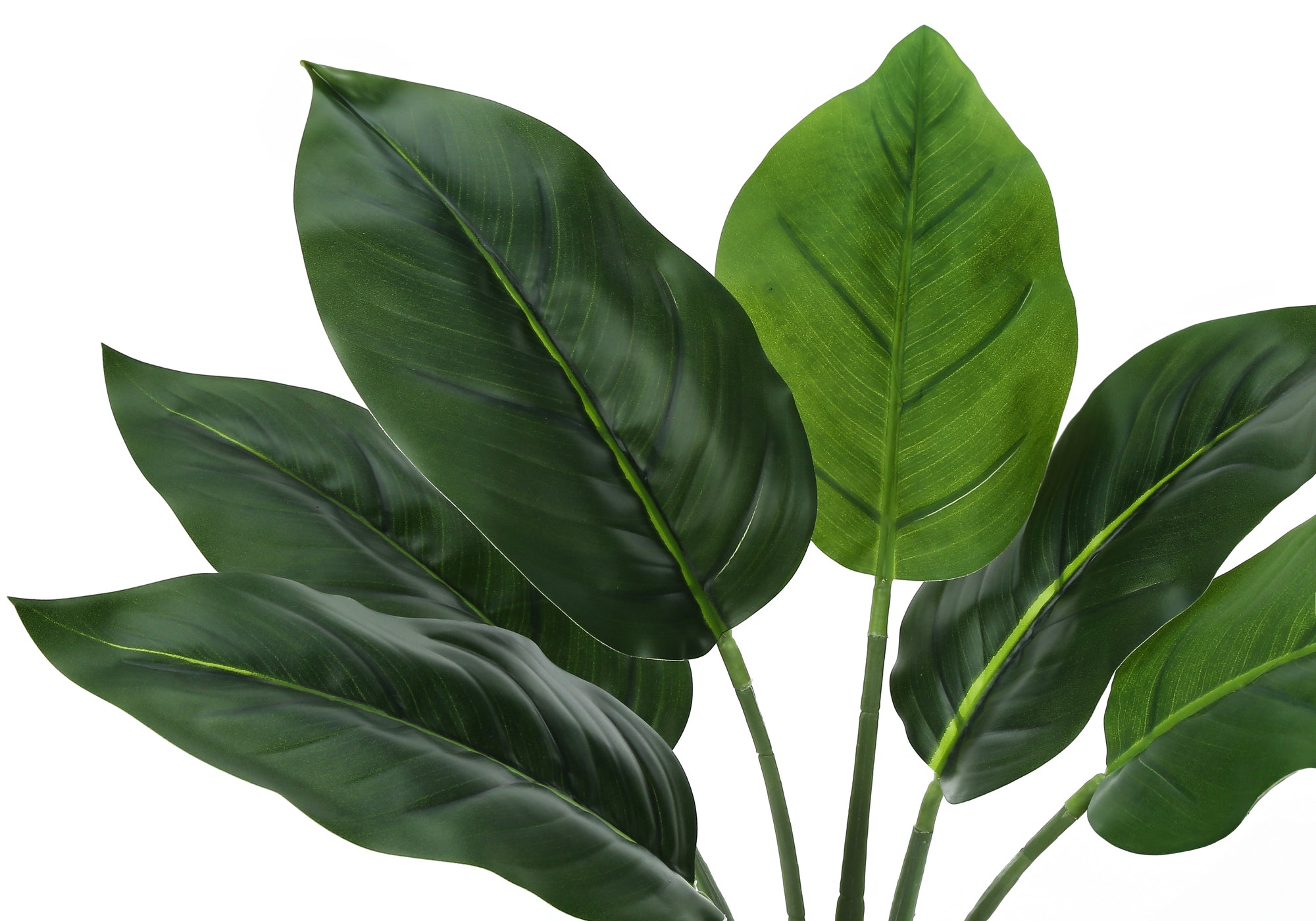 17" Artificial Aureum Plant in 5" White Pot-Artificial Plant-DECOROLALA