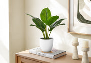17" Artificial Aureum Plant in 5" White Pot-Artificial Plant-DECOROLALA