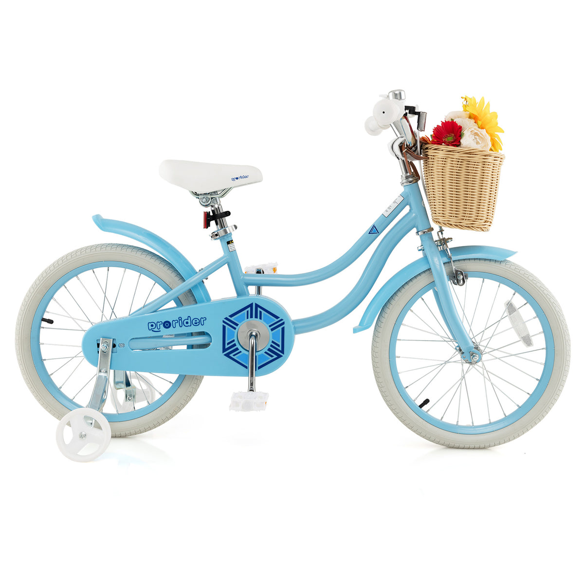 Kids Bike with Training Wheels and Adjustable Handlebar Seat
