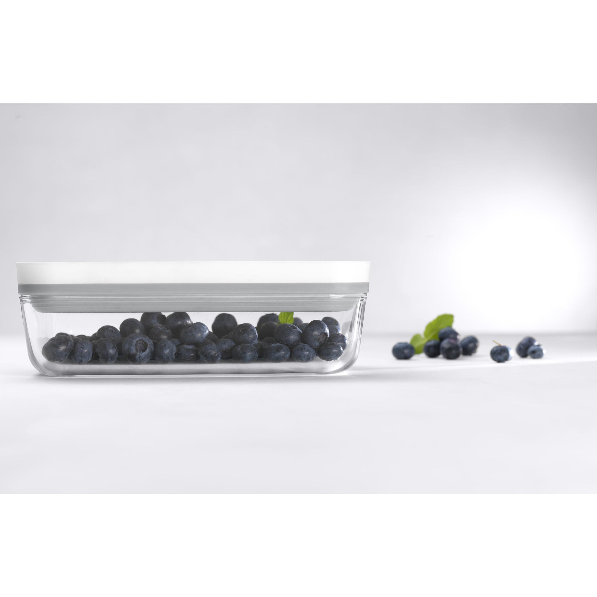 ZWILLING Fresh & Save S Vacuum Box, Glass, Grey-n/a-DECOROLALA