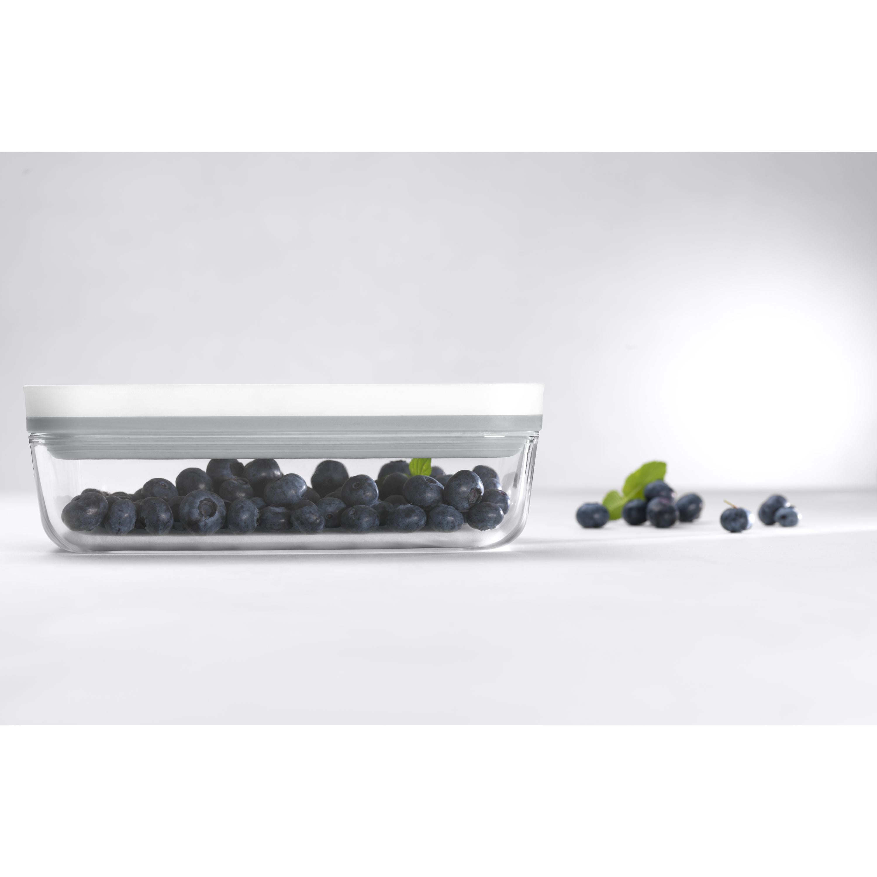 ZWILLING Fresh & Save S Vacuum Box, Glass, Grey-n/a-DECOROLALA