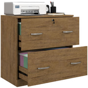 2 Drawer File Cabinet with Lock, Office Filing Cabinet, Hanging Bar for Letter Size, Home Office, Light Brown-Office Products > Office Furniture > Office Cabinets & Cupboards-DECOROLALA