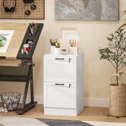 2 Drawer Filing Cabinet with Lock, Office Storage Cabinet with Adjustable Hanging Bars for A4 Letter Size Files, White-Office Storage Cabinets-DECOROLALA