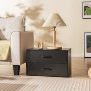 2-Drawer Stackable Horizontal Storage Cabinet Dresser Chest with Handles-Black-Dressers & Chests-DECOROLALA