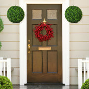 2 Pieces 15.7 Inch Artificial Boxwood Topiary Ball Tree Set-Artificial Plants-DECOROLALA