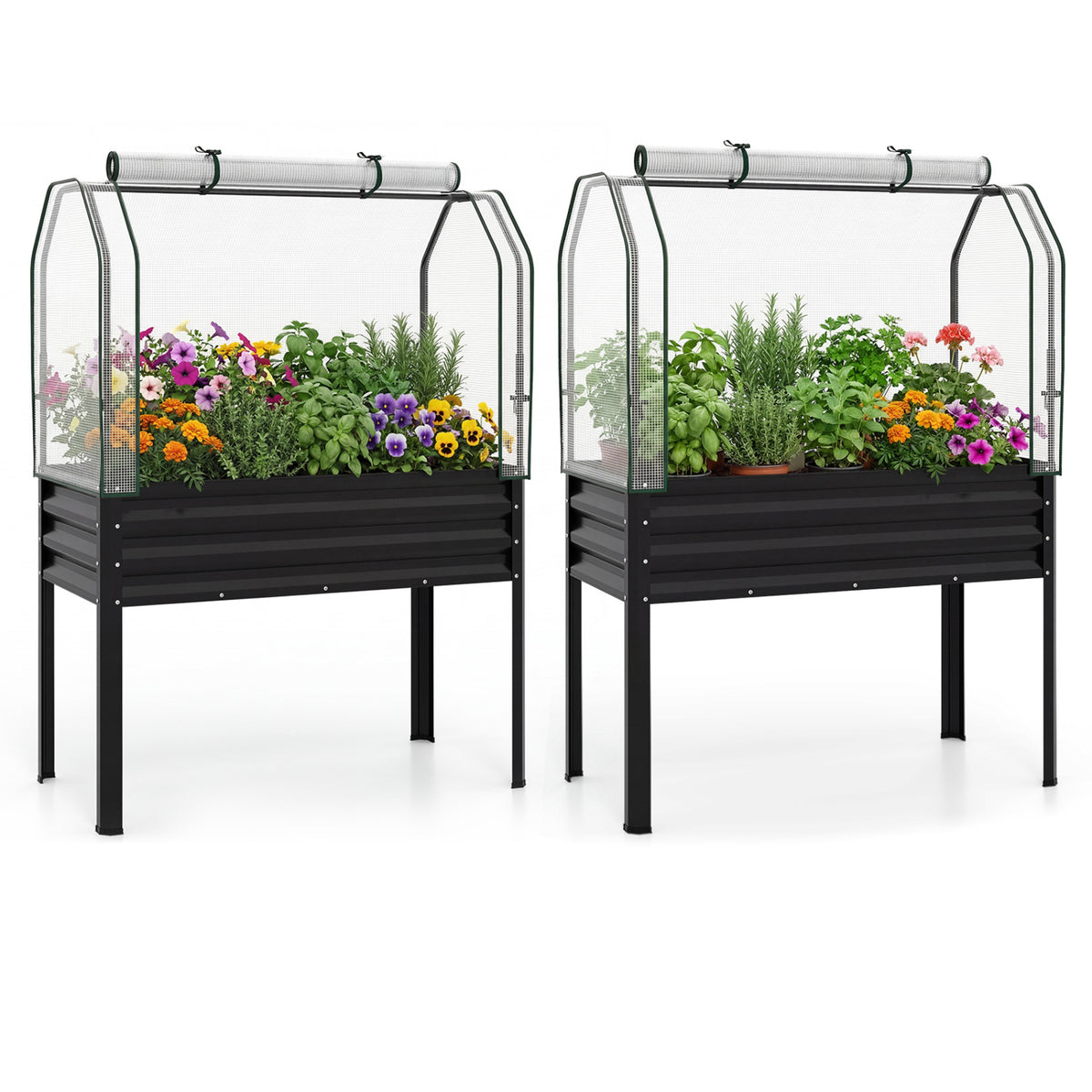 2 Pieces Galvanized Raised Garden Bed with Legs and Greenhouse Cover for Vegetable Flower-Black-Raised Garden Beds-DECOROLALA
