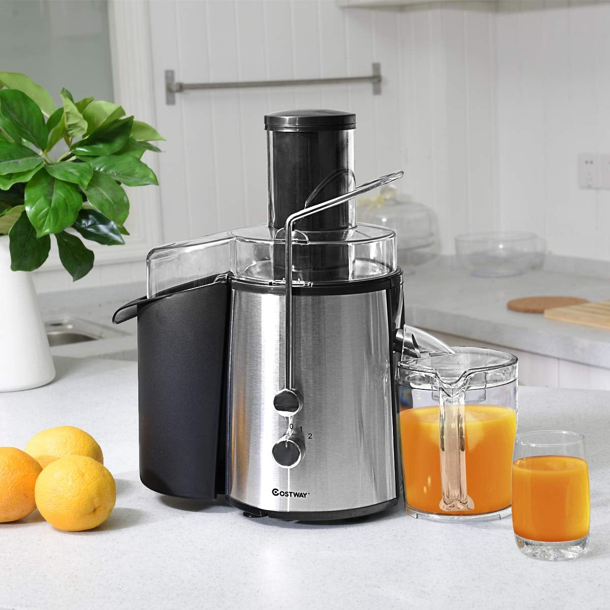 2 Speed Electric Juice Press for Fruit and Vegetable-Juicers & Coffee Machines-DECOROLALA