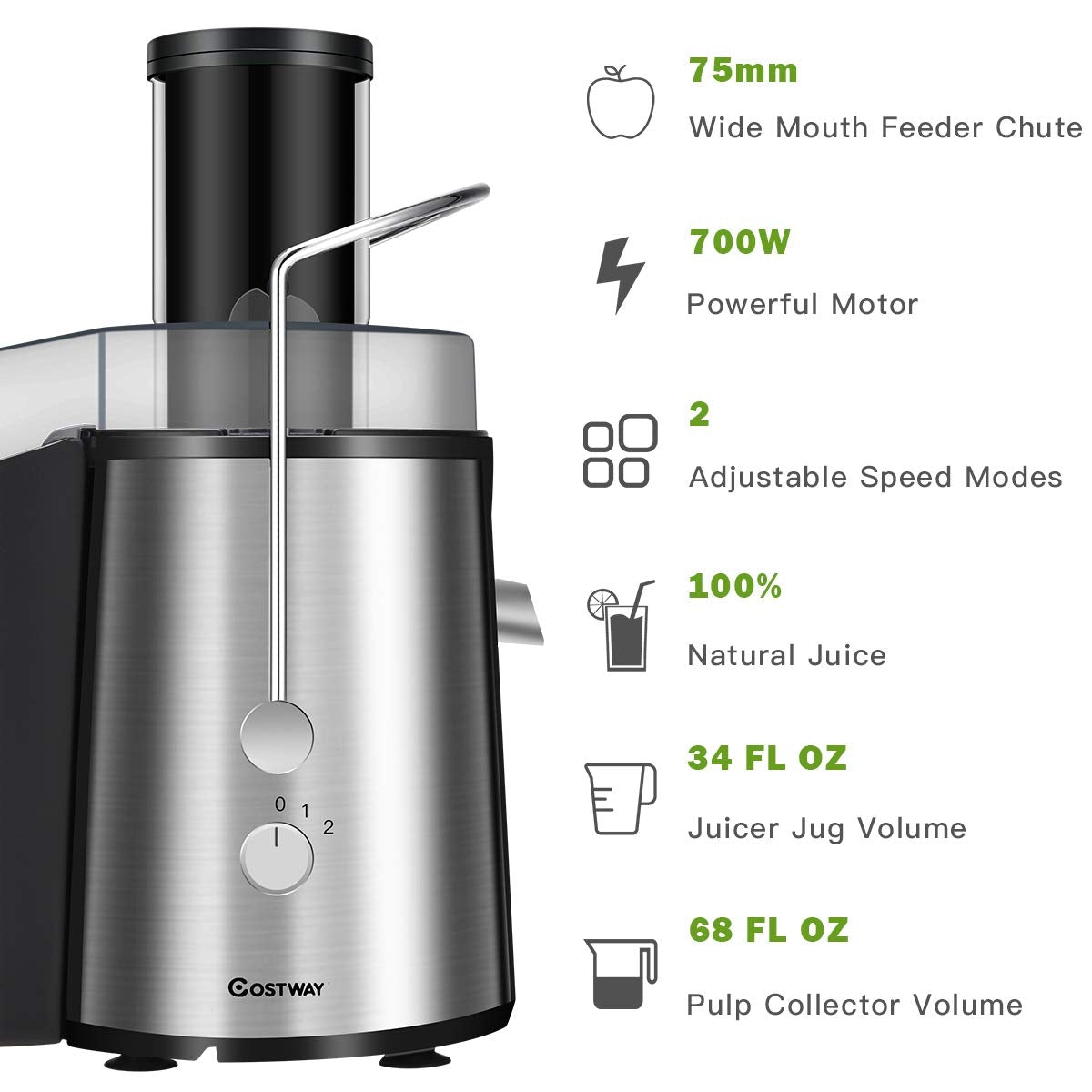 2 Speed Electric Juice Press for Fruit and Vegetable-Juicers & Coffee Machines-DECOROLALA