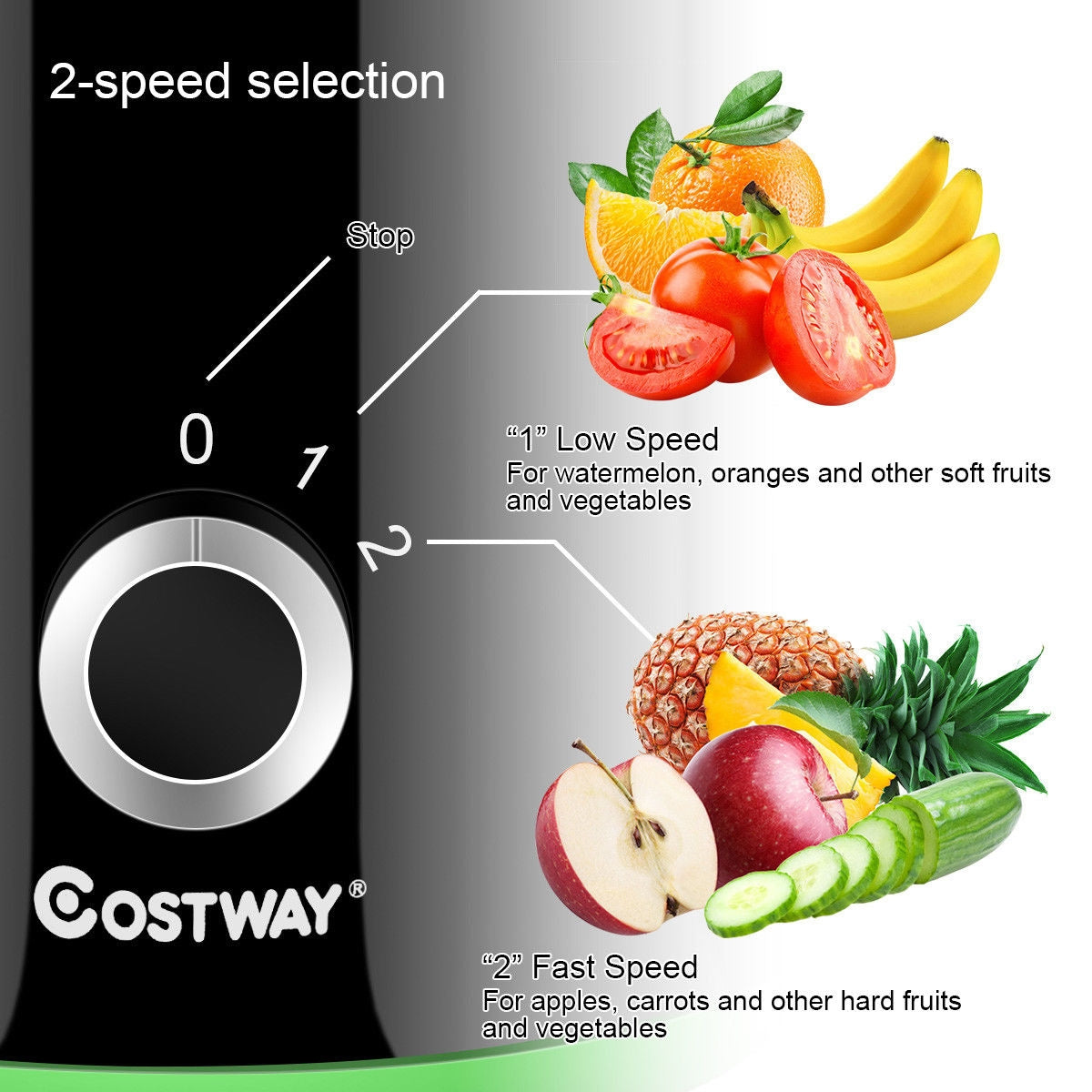 2 Speed Wide Mouth Fruit and Vegetable Centrifugal Electric Juicer-Juicers & Coffee Machines-DECOROLALA