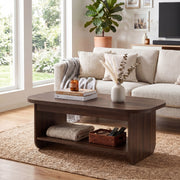 2-Tier Oval Coffee Table for Living Room Mid Century Center Table with Bottom Storage Shelf-Walnut-Coffee Tables-DECOROLALA