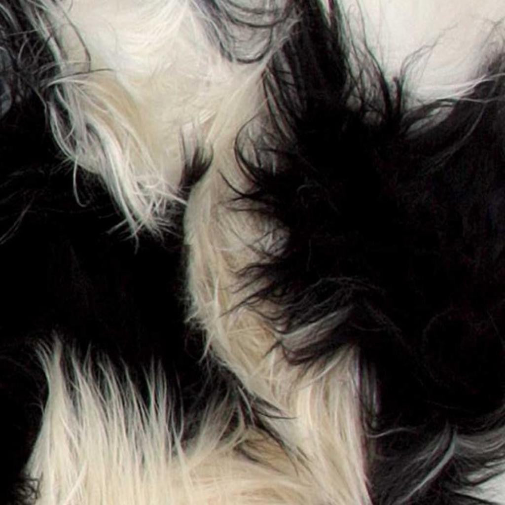 2' X 3' Black and White Spotted Sheepskin Handmade Area Rug-Area Rugs-DECOROLALA