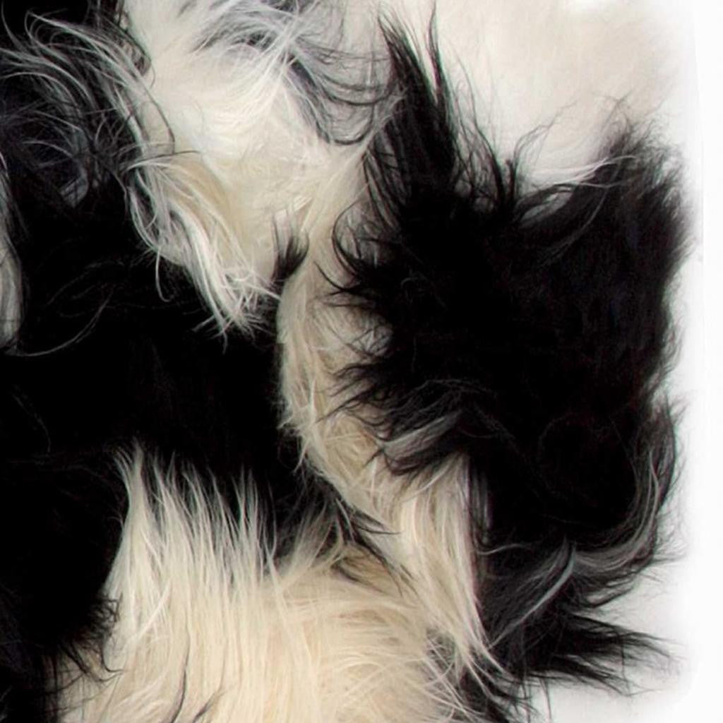 2' X 3' Black and White Spotted Sheepskin Handmade Area Rug-Area Rugs-DECOROLALA