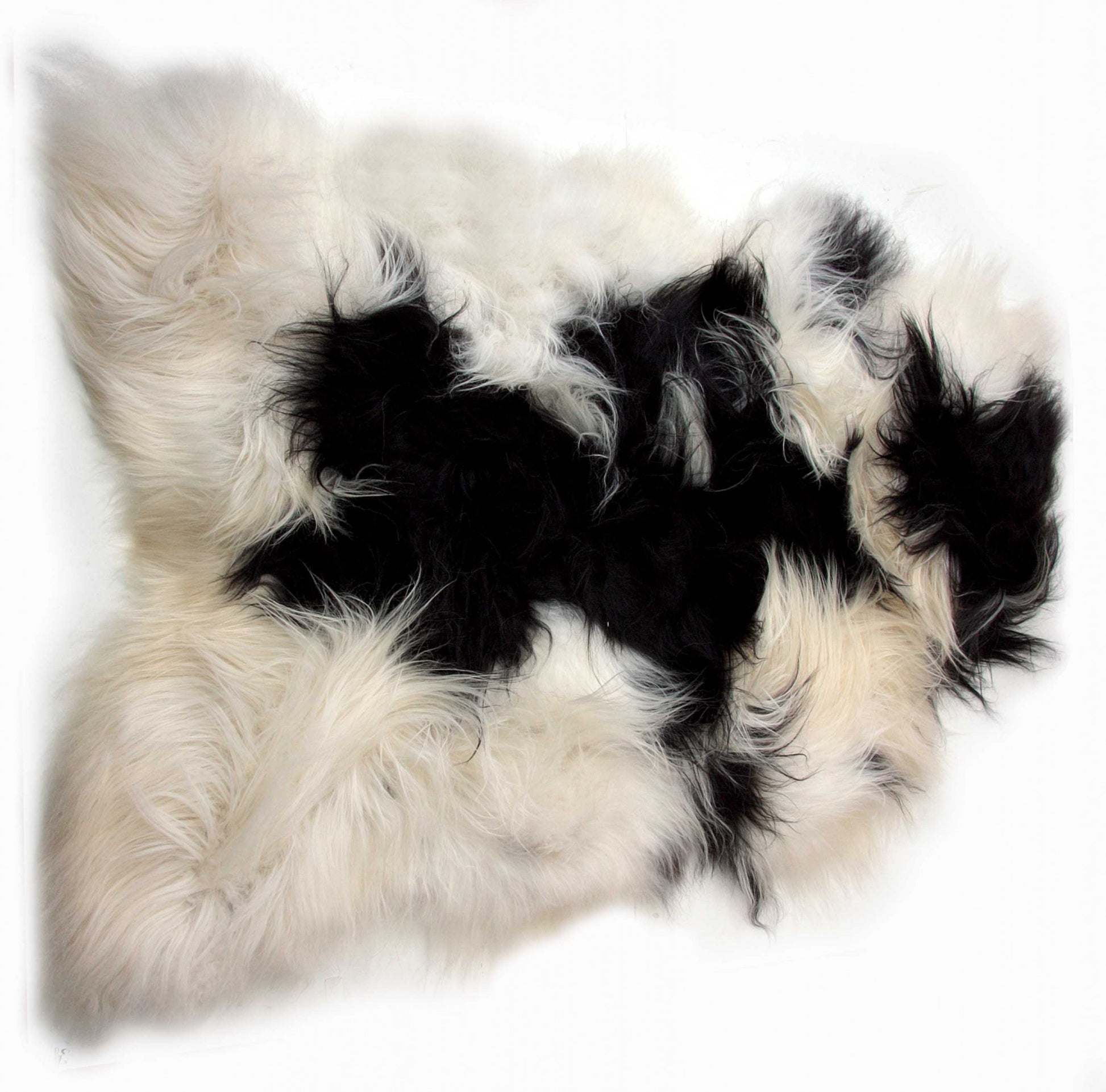 2' X 3' Black and White Spotted Sheepskin Handmade Area Rug-Area Rugs-DECOROLALA