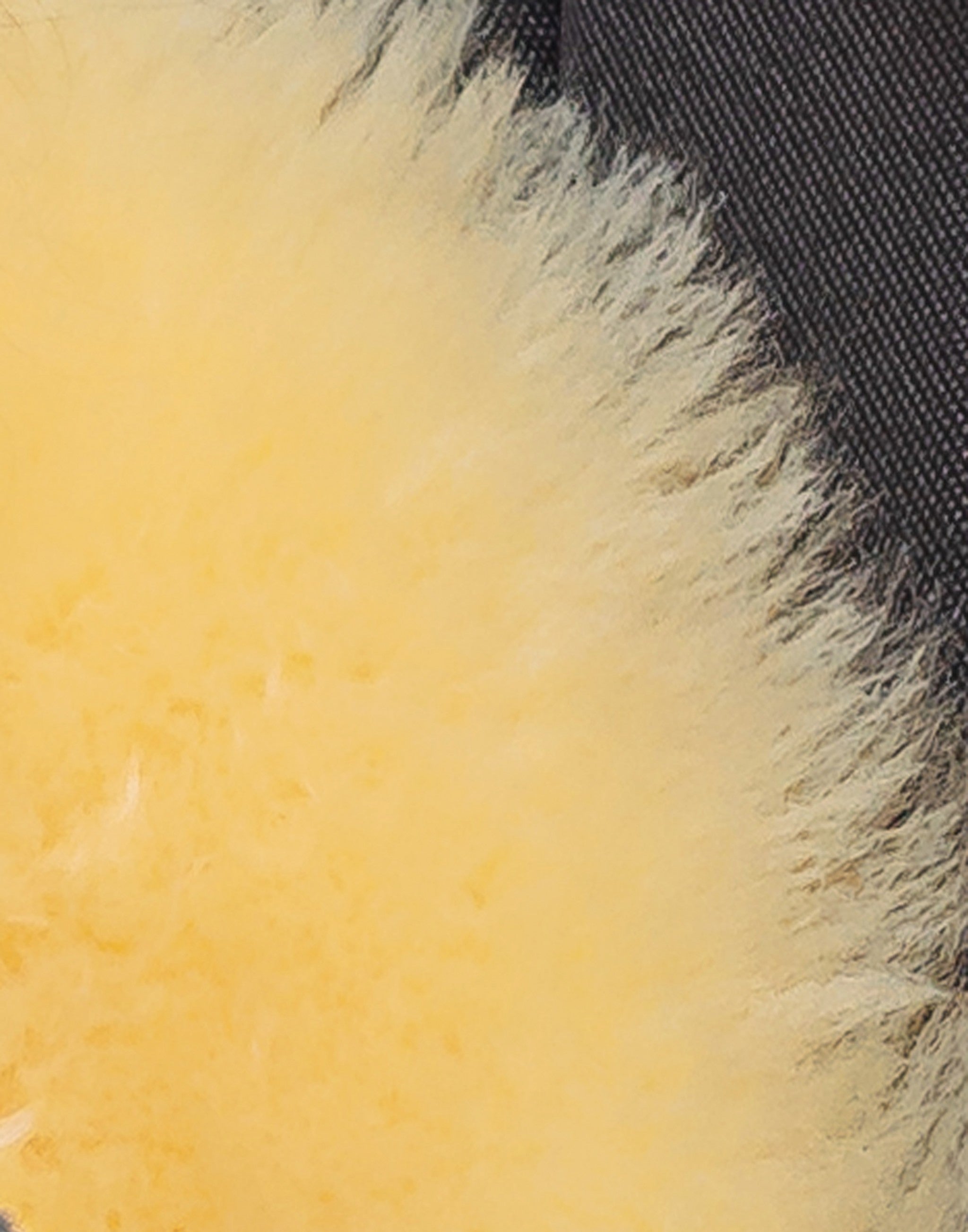 2' X 3' Cream Genuine Sheepskin Animal Print Shag Area Rug-Area Rugs-DECOROLALA