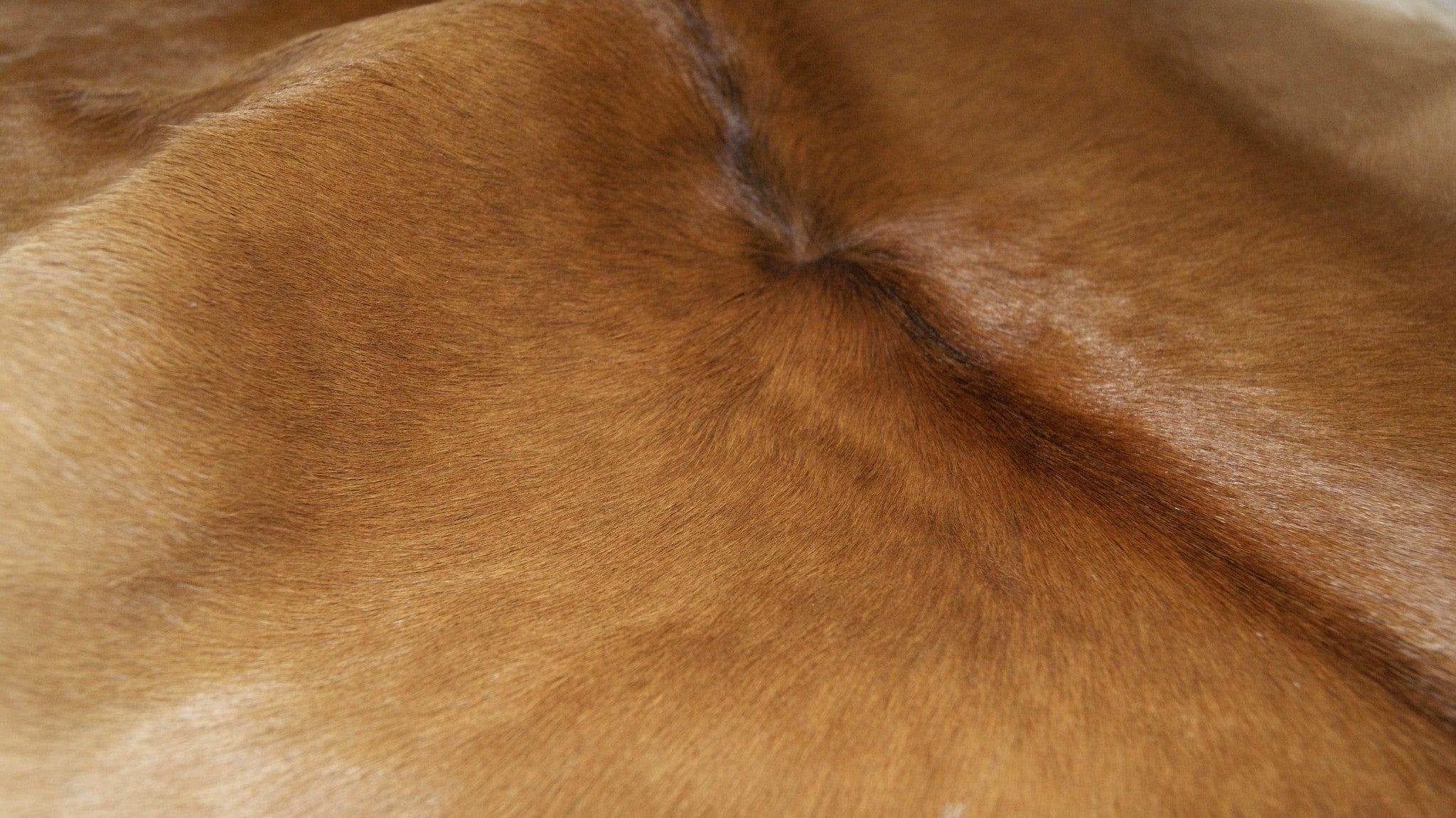 2' X 3' Tan Print Cowhide Area Rug-Area Rugs-DECOROLALA