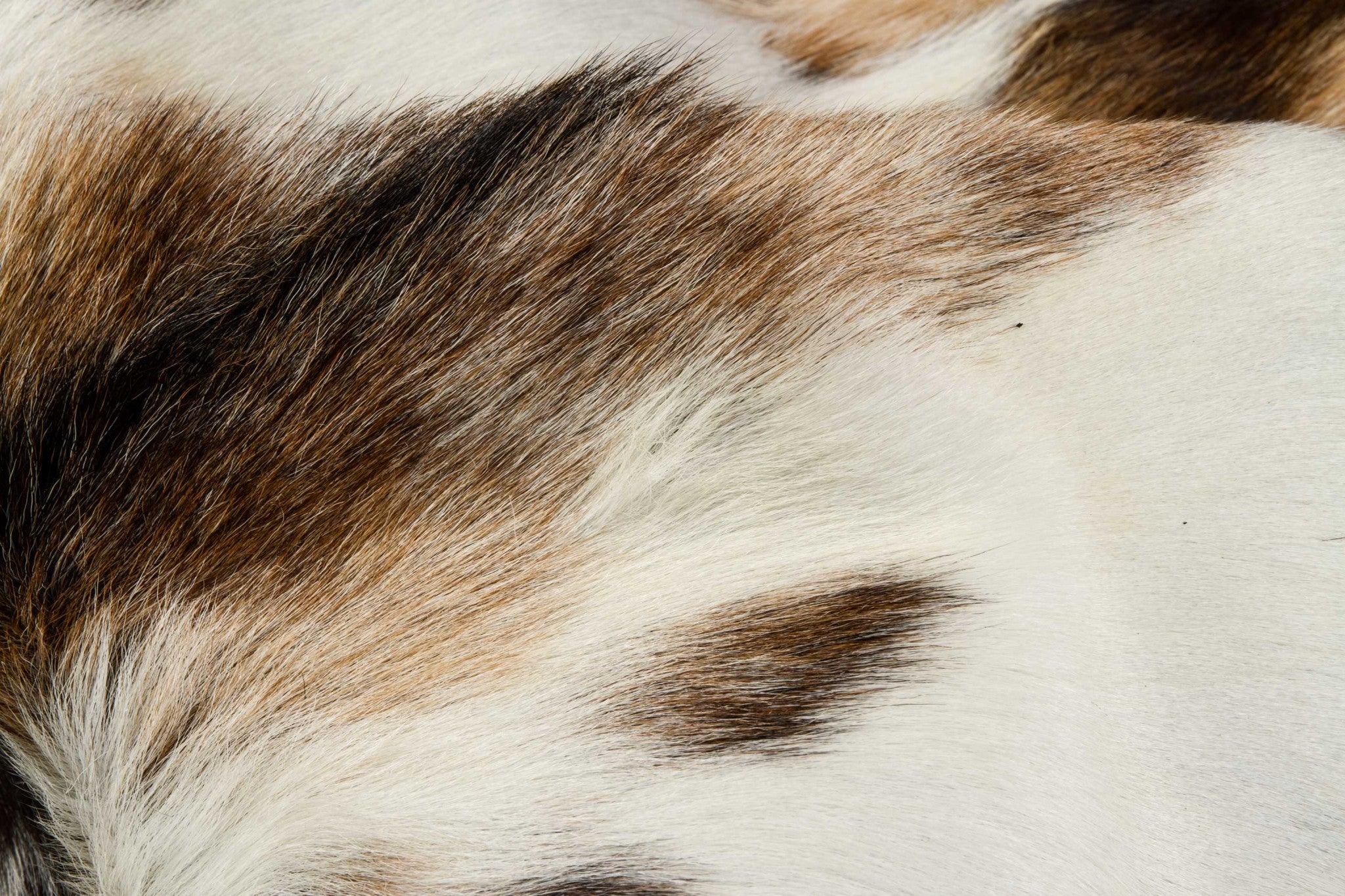 2' X 3' Taupe And White Calfskin - Area Rug-Area Rugs-DECOROLALA