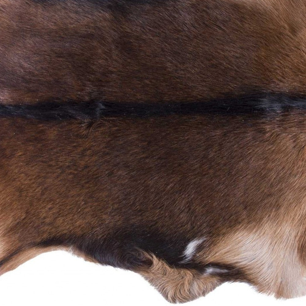 2' X 3' Tricolor Calfskin/Microsuede Contemporary - Area Rugs-Area Rugs-DECOROLALA