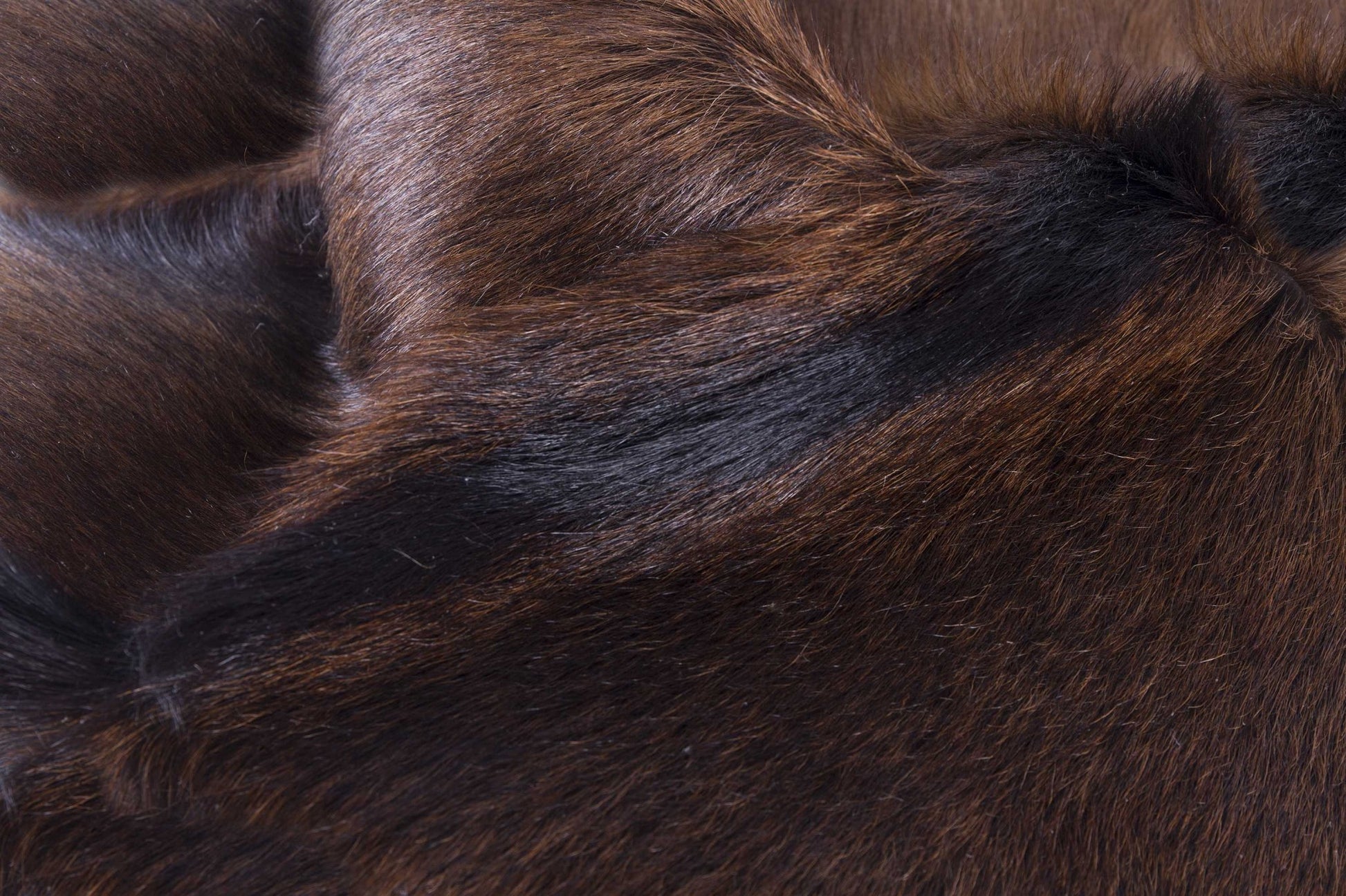 2' X 3' Tricolor Calfskin/Microsuede Contemporary - Area Rugs-Area Rugs-DECOROLALA