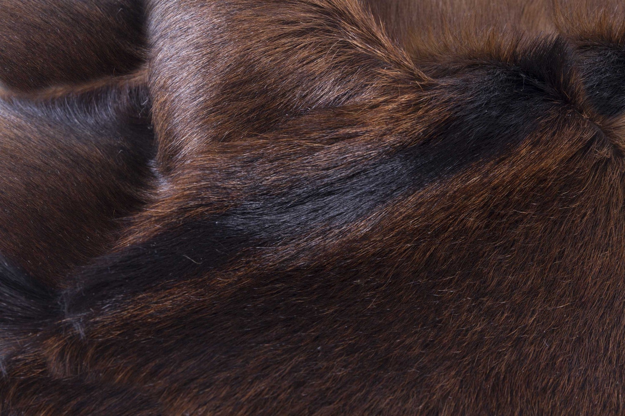 2' X 3' Tricolor Calfskin/Microsuede Contemporary - Area Rugs-Area Rugs-DECOROLALA