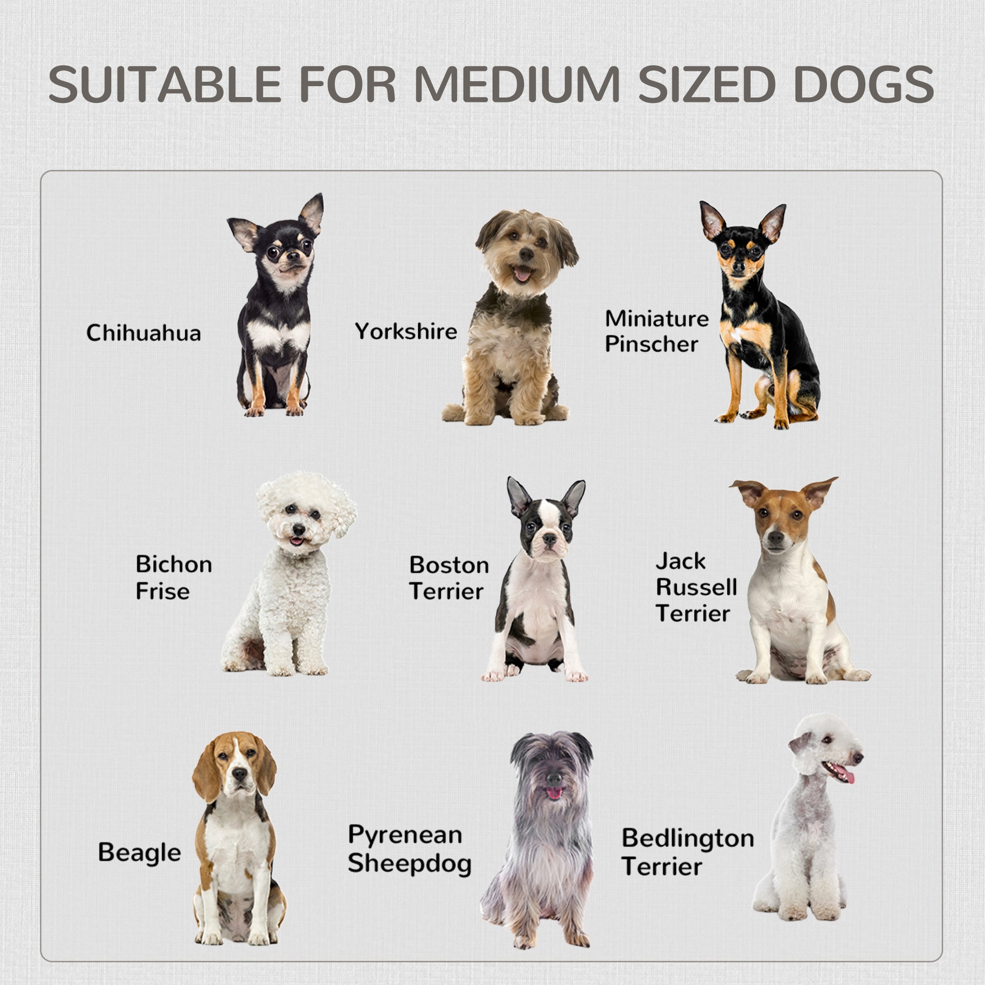 2-in-1 Dog Crate Side Table - White Medium 36"-DECOROLALA
