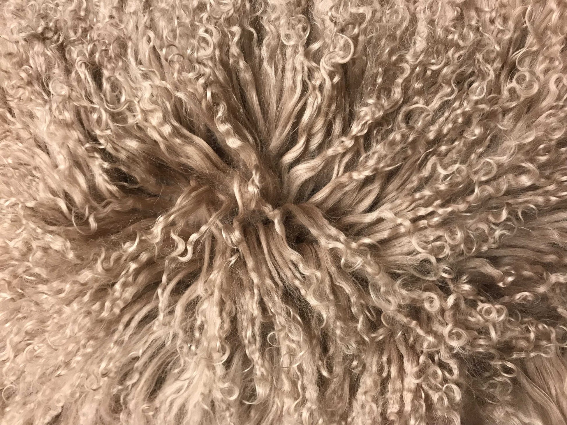 20" Beige Genuine Tibetan Lamb Fur Pillow With Microsuede Backing-Accent Throw Pillows-DECOROLALA