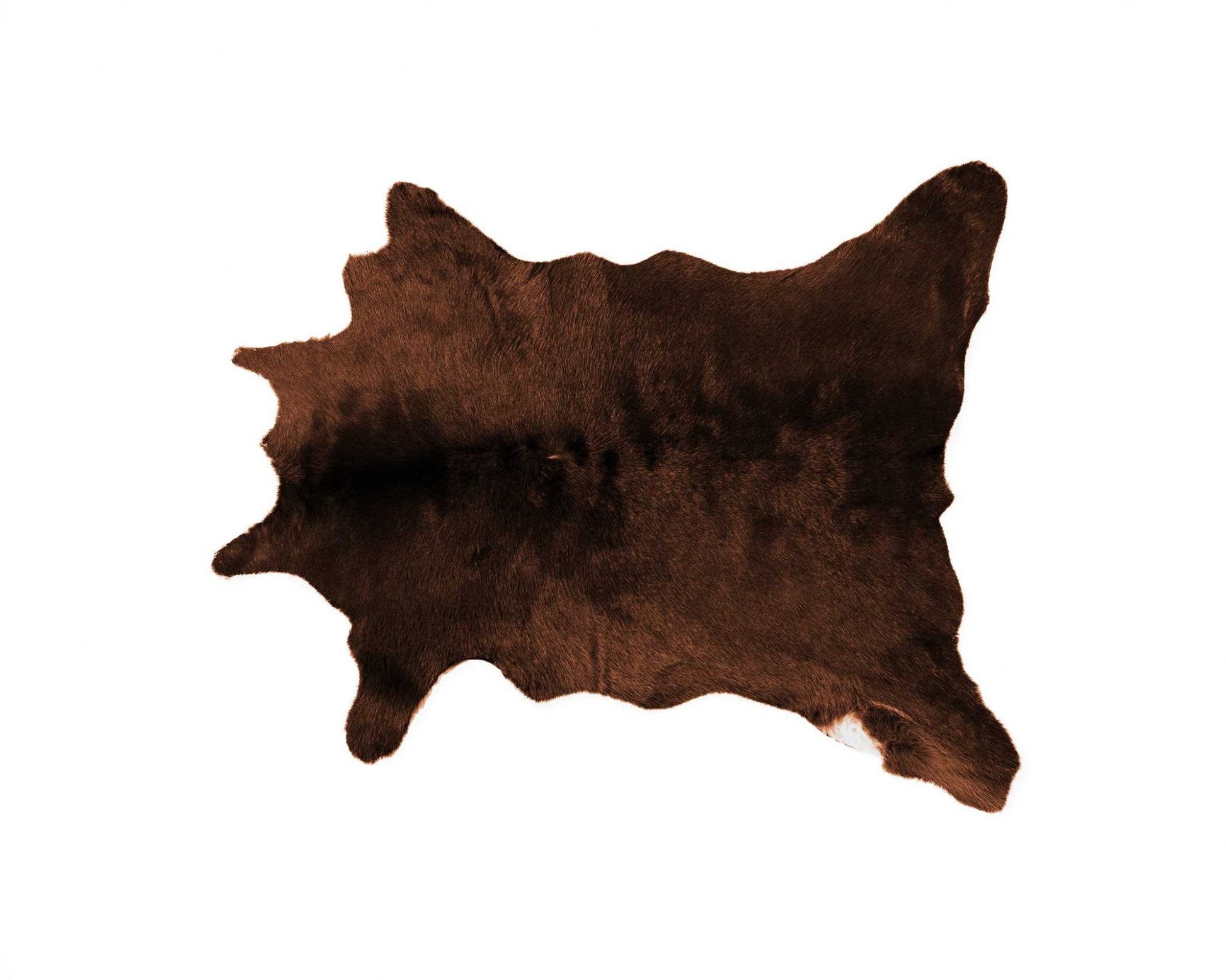 24" X 36" Brown Calfskin - Area Rug-Area Rugs-DECOROLALA
