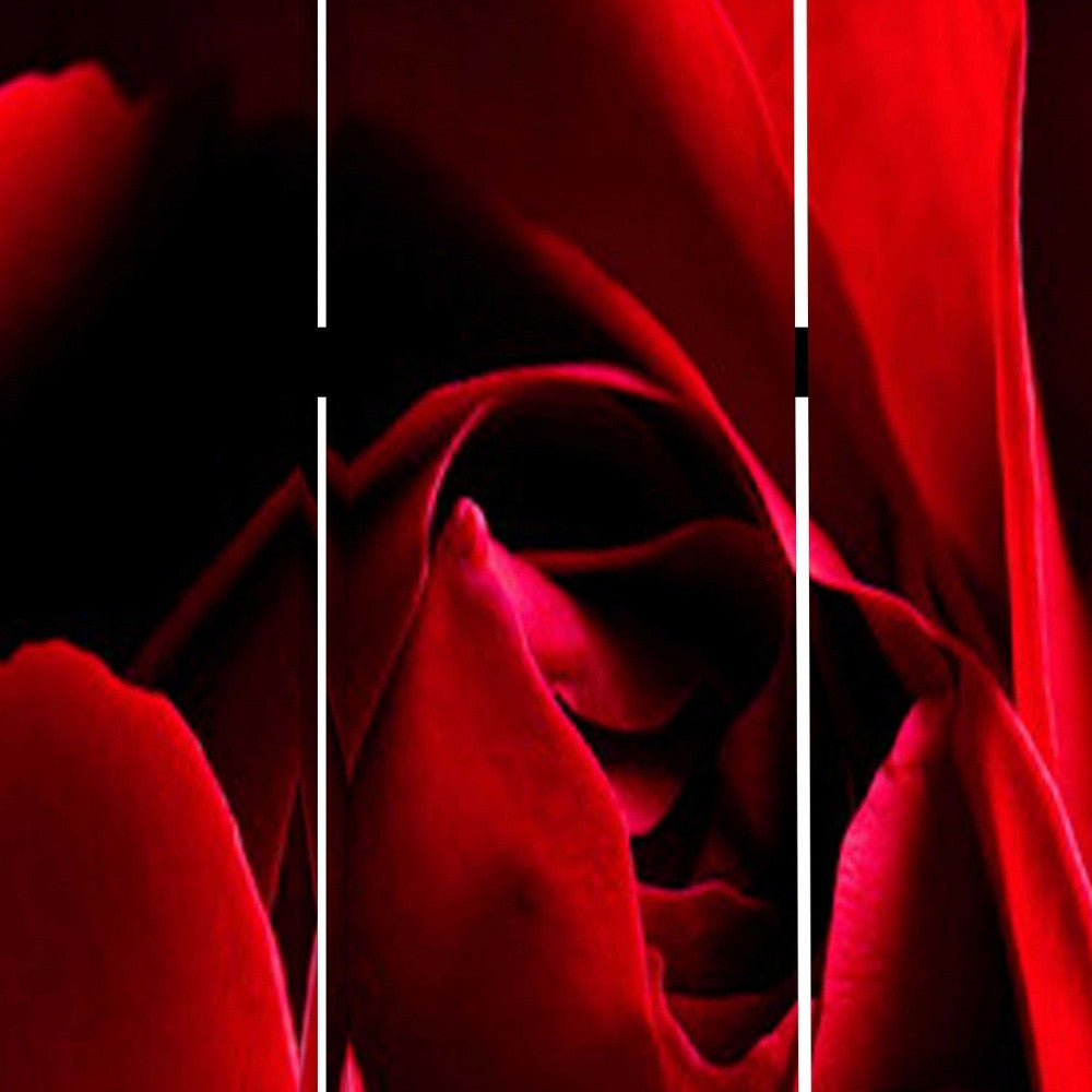 48 X 72 Multi Color Wood Canvas Rose Screen-Room Dividers-DECOROLALA