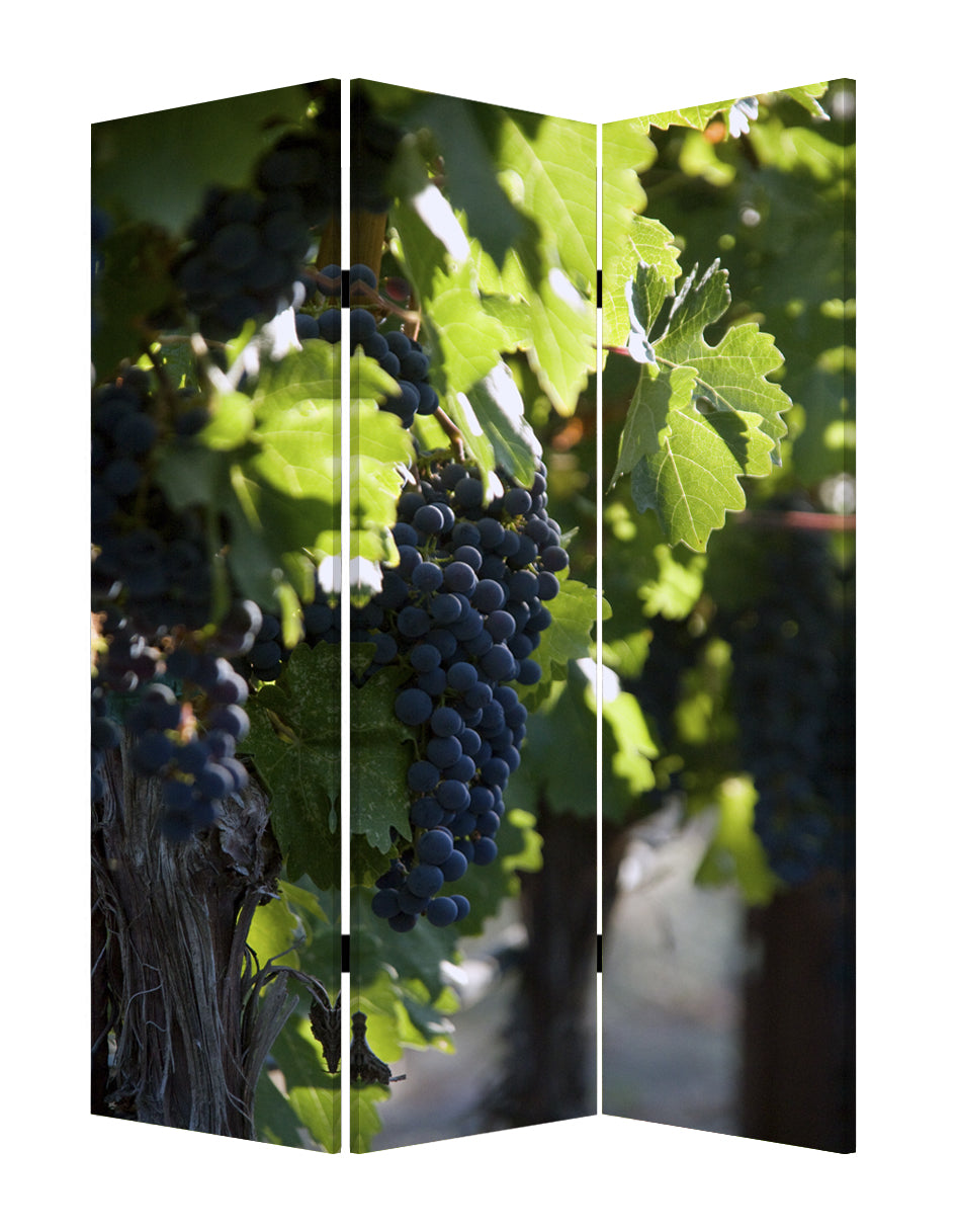 48" X 72" Multi Color Wood Canvas Wine Country Screen-Room Dividers-DECOROLALA