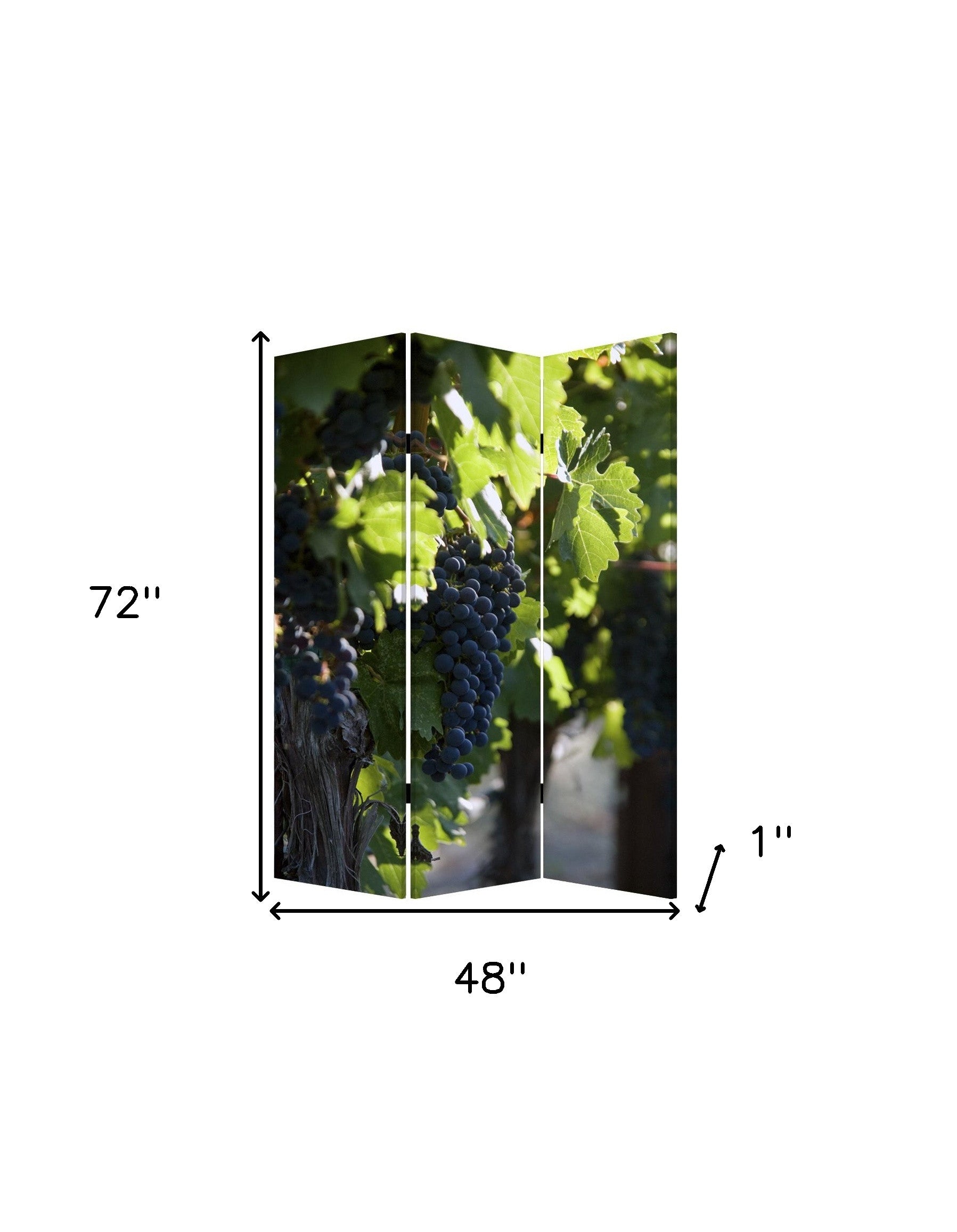 48" X 72" Multi Color Wood Canvas Wine Country Screen-Room Dividers-DECOROLALA