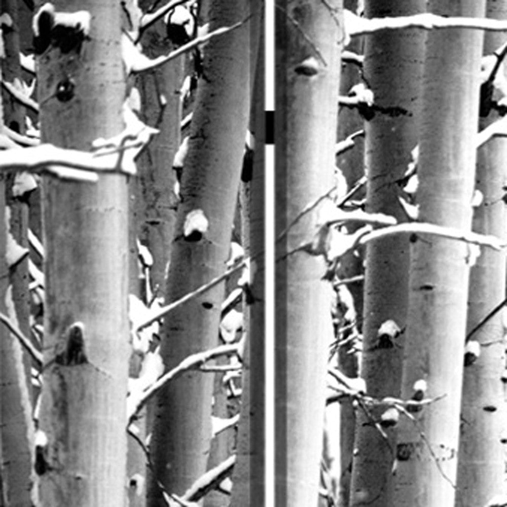 48" X 72" Gray And White Wood Canvas Birch Screen-Room Dividers-DECOROLALA