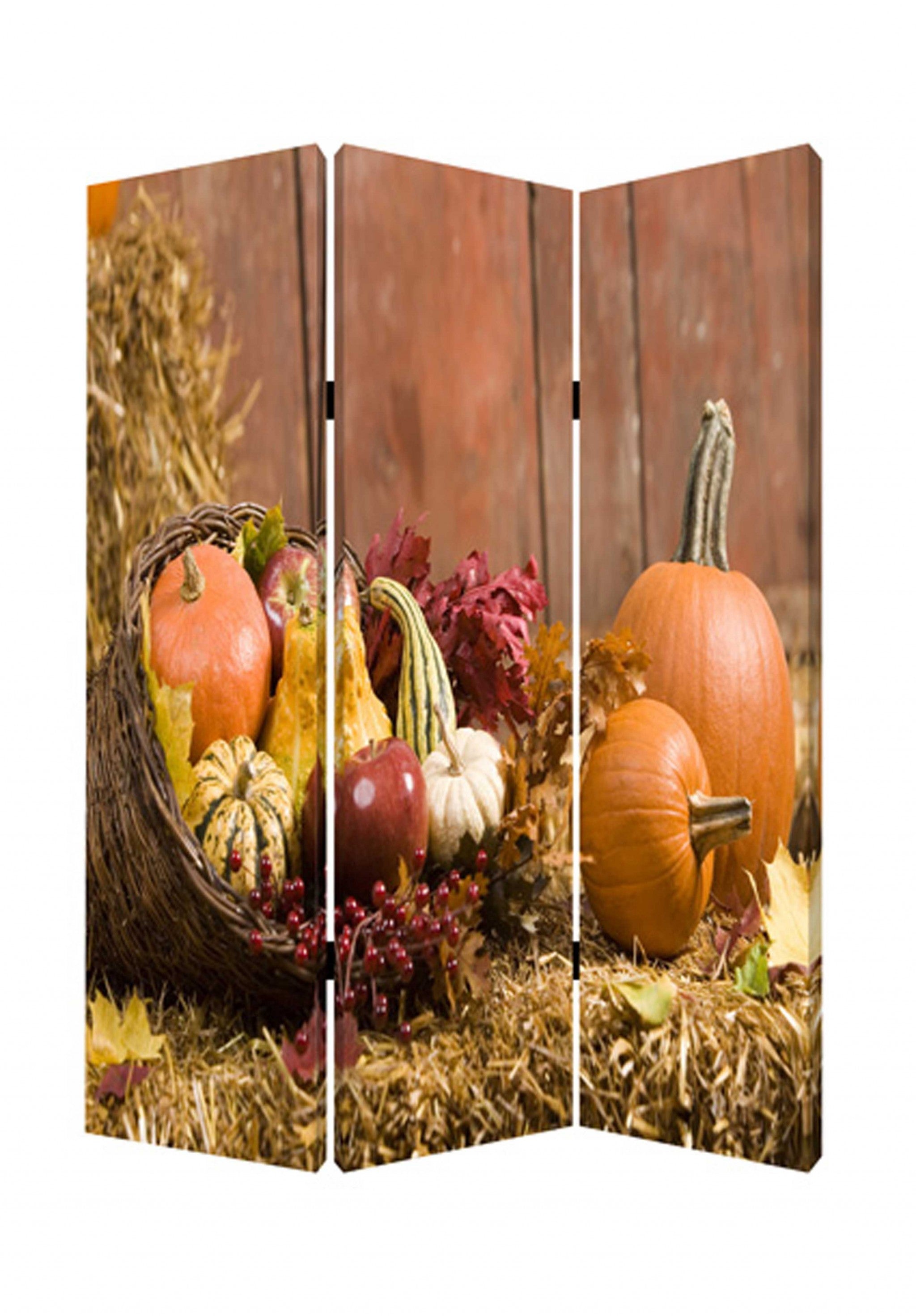 48 X 72 Multi Color Wood Canvas Harvest Screen-Room Dividers-DECOROLALA