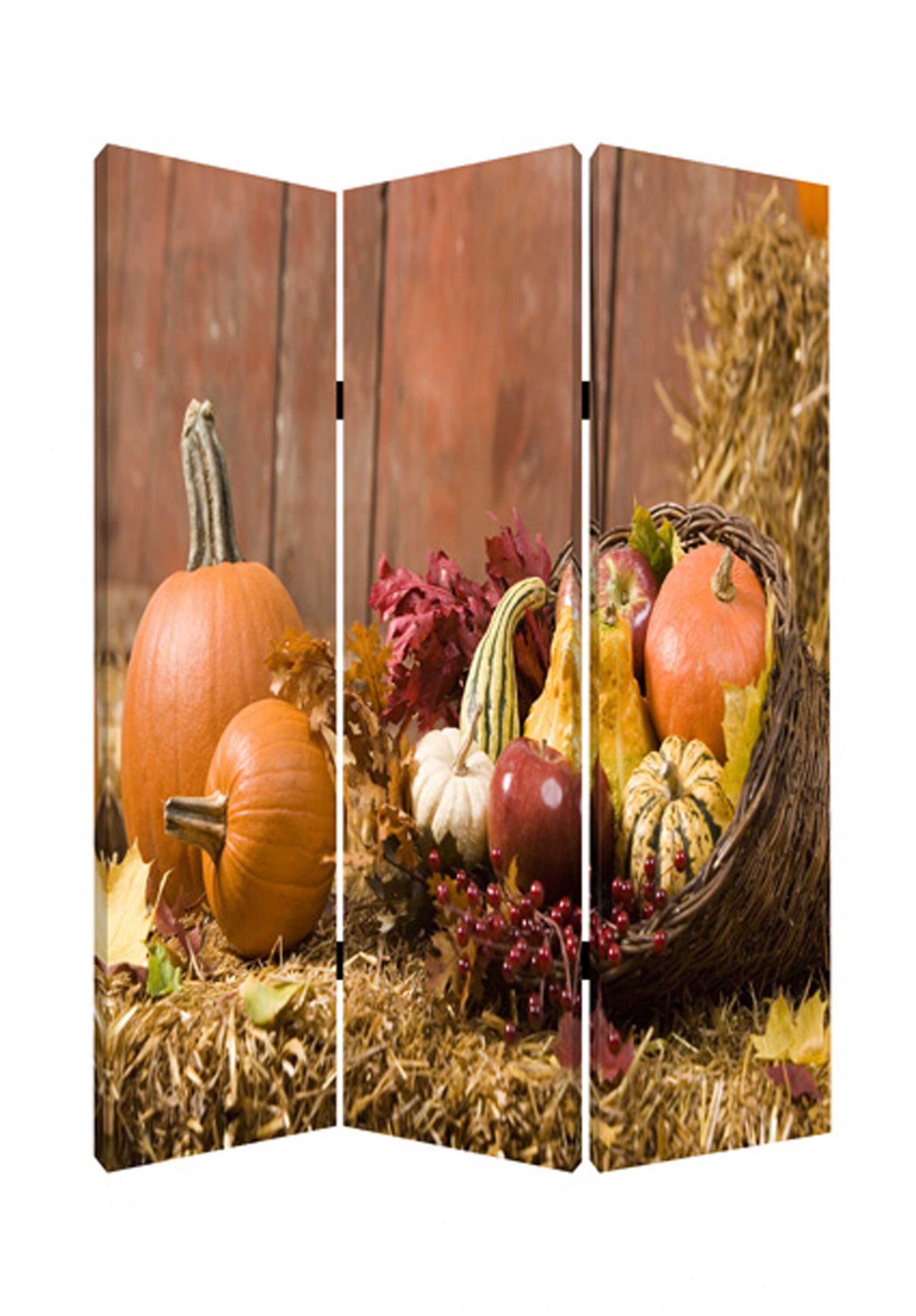 48 X 72 Multi Color Wood Canvas Harvest Screen-Room Dividers-DECOROLALA