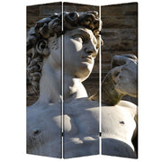 48" X 72" Multi Color Wood Canvas Rome Screen-Room Dividers-DECOROLALA