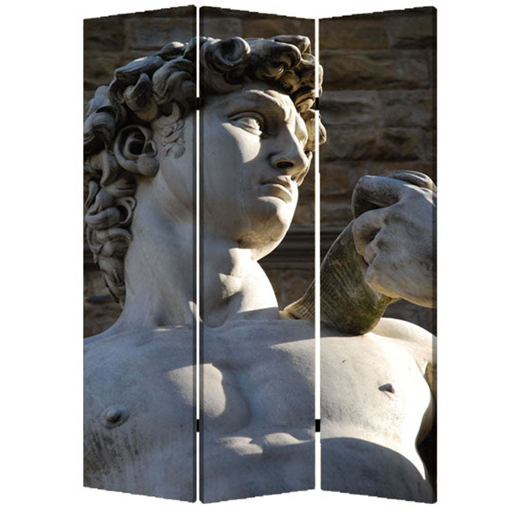 48" X 72" Multi Color Wood Canvas Rome Screen-Room Dividers-DECOROLALA
