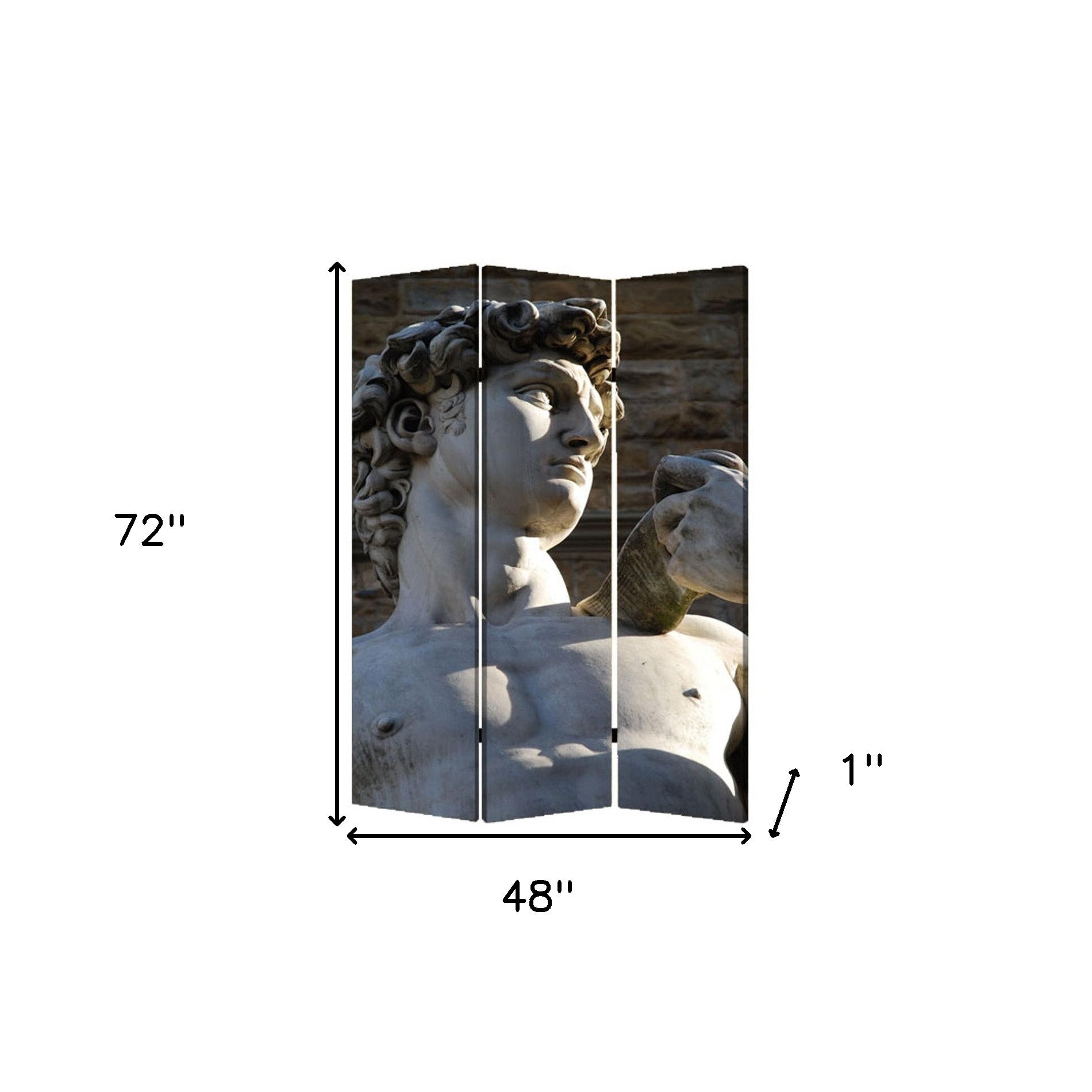 48" X 72" Multi Color Wood Canvas Rome Screen-Room Dividers-DECOROLALA