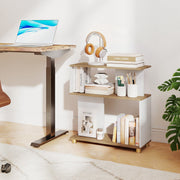 3-Tier Modern S-shaped Bookshelf with Adjustable Feet-White-Bookcases-DECOROLALA
