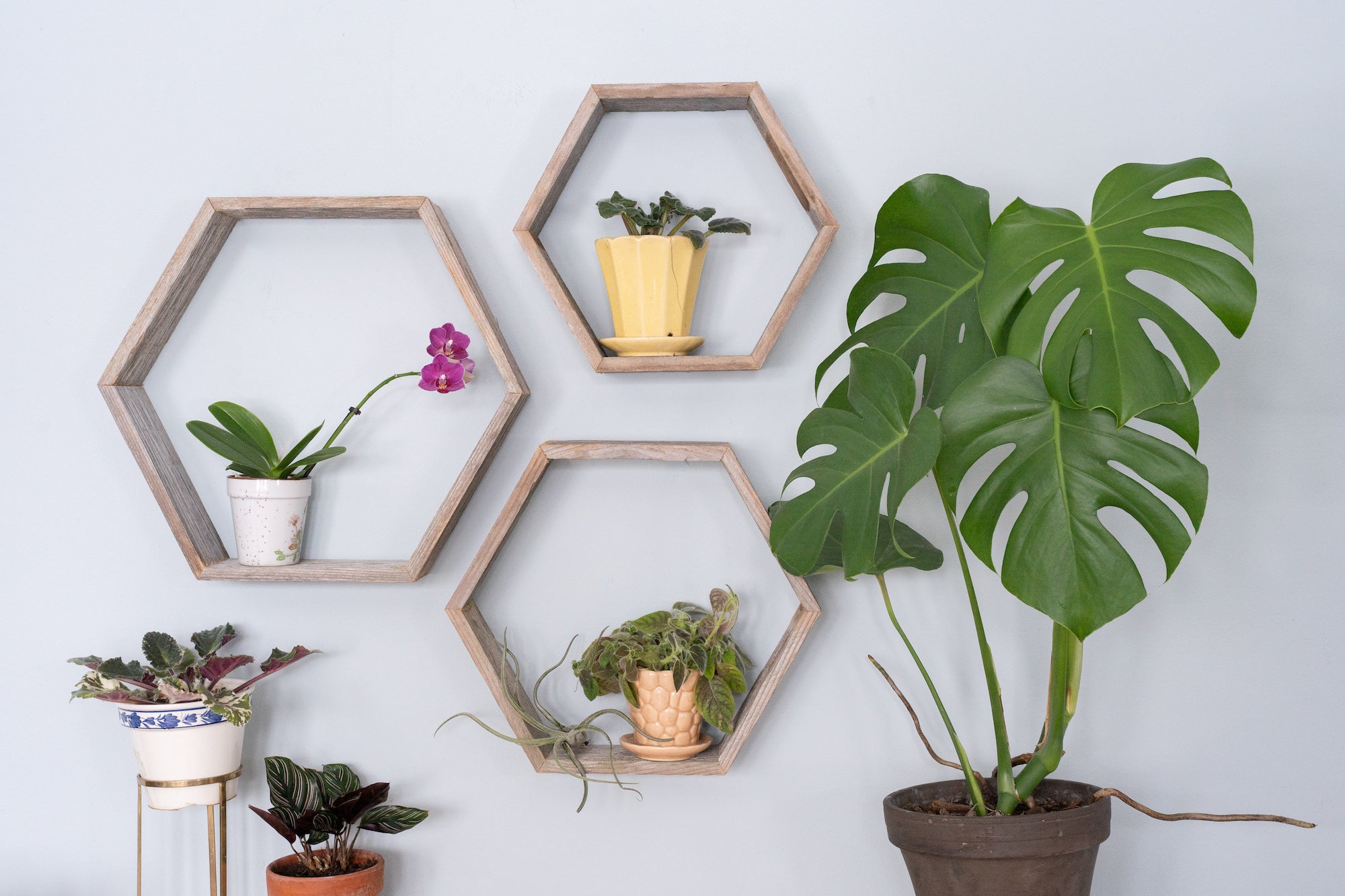 Set of Three Gray Wood Hexagon Wood Open Box Shelves-6