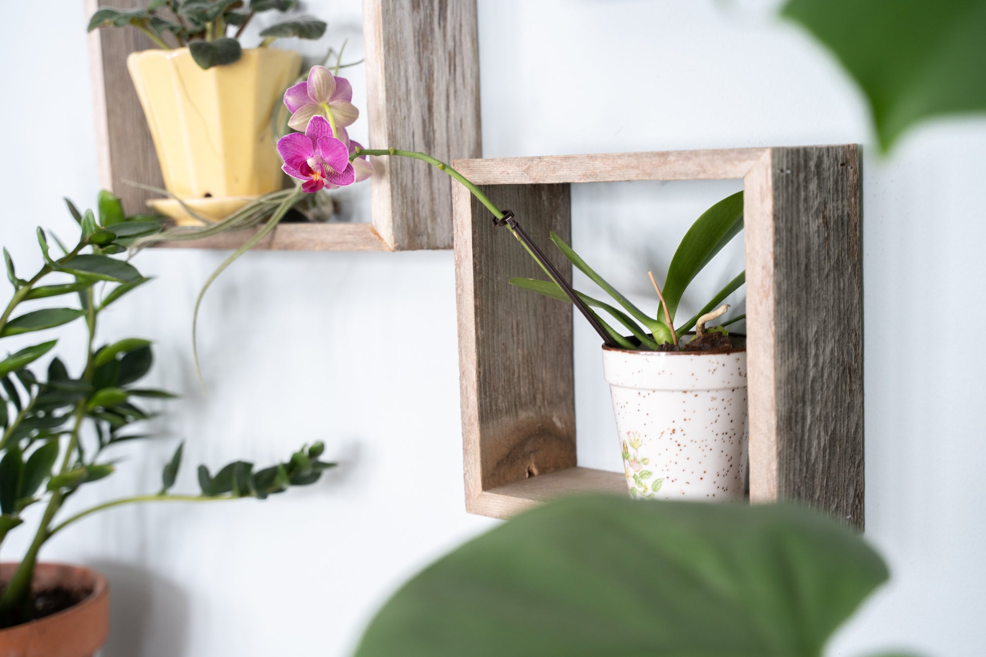 Rustic Farmhouse Set Of 3 Square Shadow Box Shelves-3