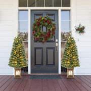 4 Feet Pre-Lit Potted Christmas Tree Pine Needles-Christmas Trees-DECOROLALA