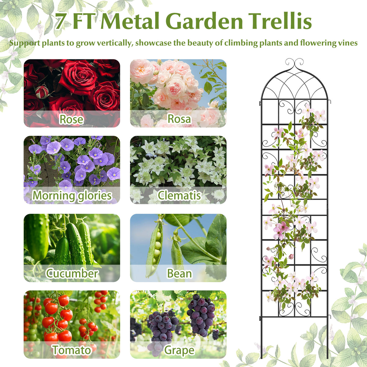 4 Pack 86" x 20" Metal Garden Trellis for Outdoor Climbing Plants-Plant Supports-DECOROLALA