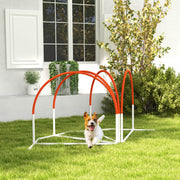 4-Piece Dog Agility Training Kit with Weave Poles - Orange-Dogs-DECOROLALA