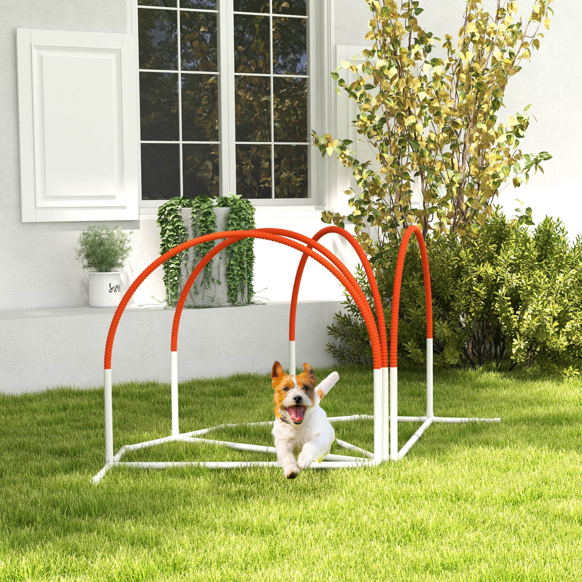 4-Piece Dog Agility Training Kit with Weave Poles - Orange-Dogs-DECOROLALA