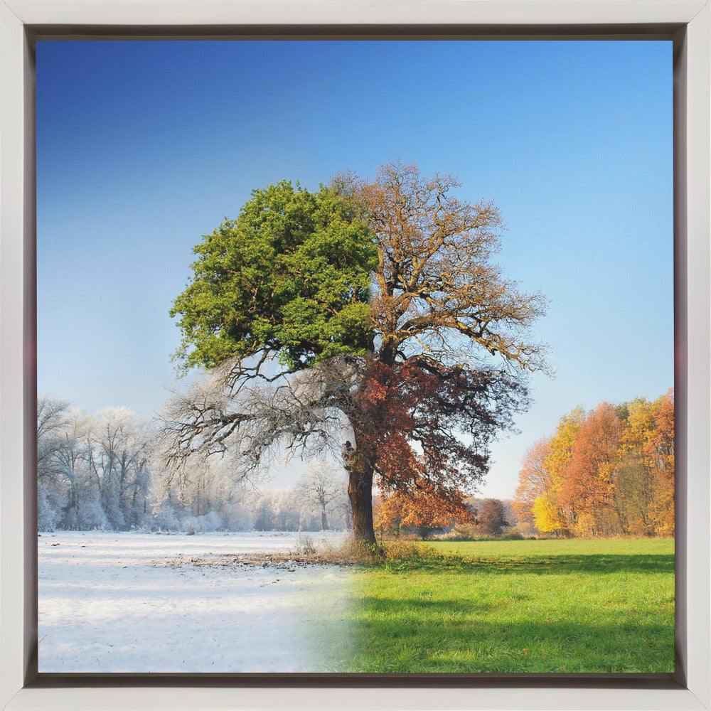 4 Seasons Wall Art by Adam Brzuszek-canvas-DECOROLALA