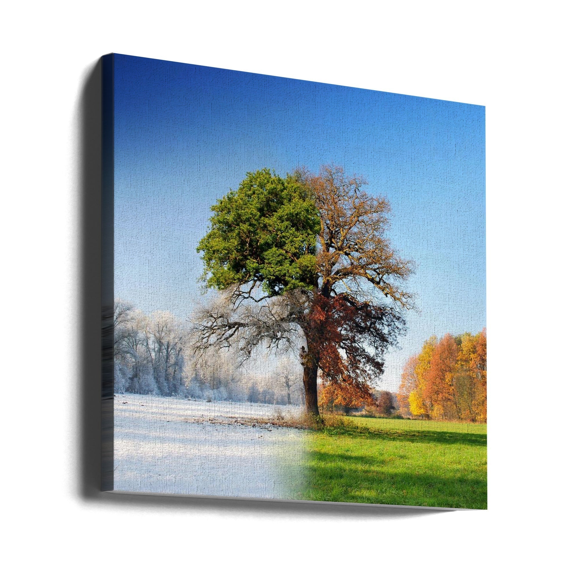 4 Seasons Wall Art by Adam Brzuszek-canvas-DECOROLALA