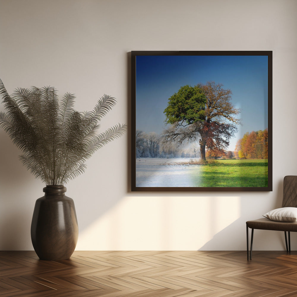 4 Seasons Wall Art by Adam Brzuszek-canvas-DECOROLALA